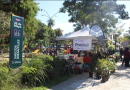 PRODUCTORES Y EMPRENDEDORES SE DIERON CITA EN LA PLAZA 25 DE MAYO.EN OTRA JORNADA EXITOSA.